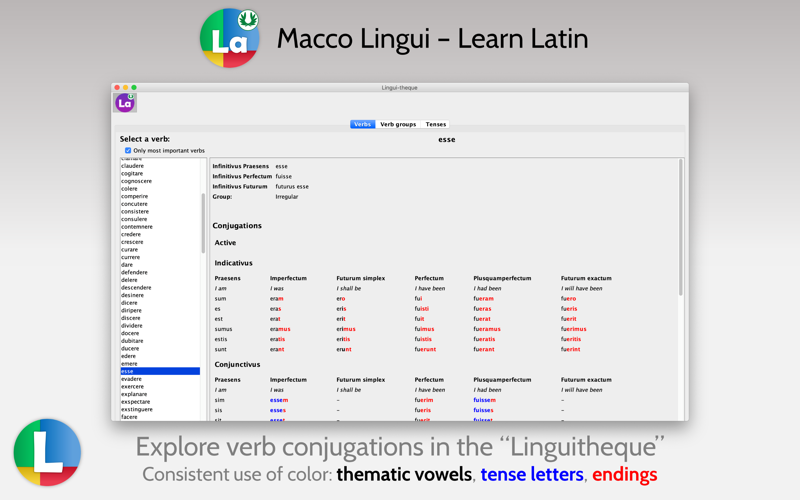 Macco Lingui - Learn Latin screenshot 4