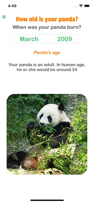 Panda Years - Age of Pandas(圖2)-速報App