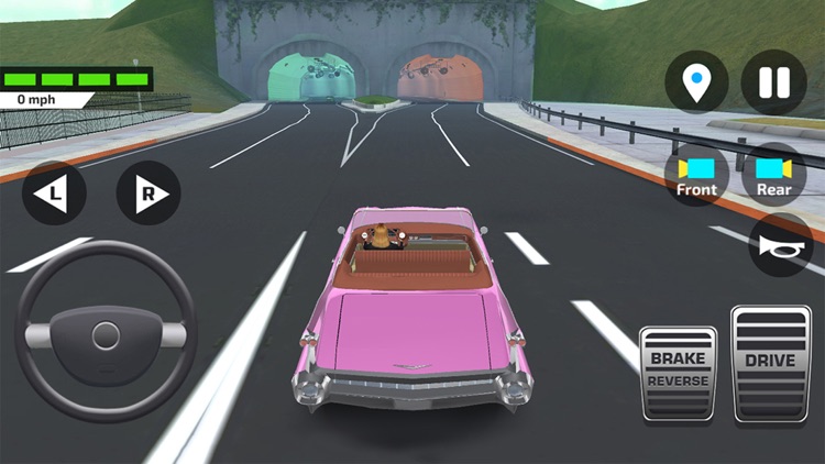 Driving Test Simulator Games screenshot-6