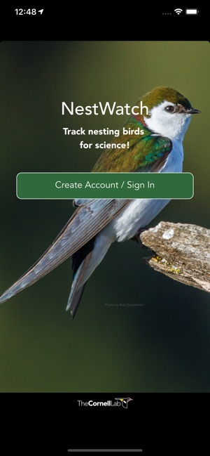 NestWatch by the Cornell Lab(圖1)-速報App