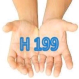 H199i