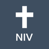 NIV Bible Books & Audio - 素梅 张