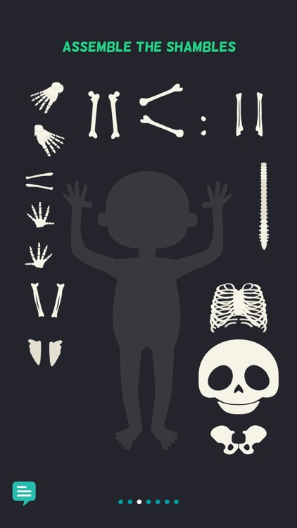 My Body - Anatomy for Kids