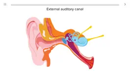 Game screenshot Biology Longtail Education apk