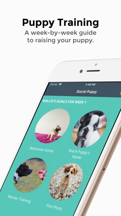 Social Puppy: Dog Training App