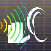 Hearing Analyzer Portrait