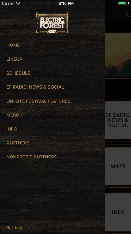 Electric Forest Festival