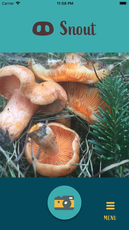 Snout: Mushroom Identification