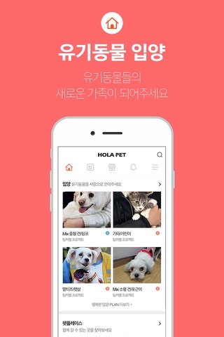 올라펫 (강아지, 고양이, 반려동물 커뮤니티) screenshot 4