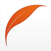 致茶·渥堆 pour PC