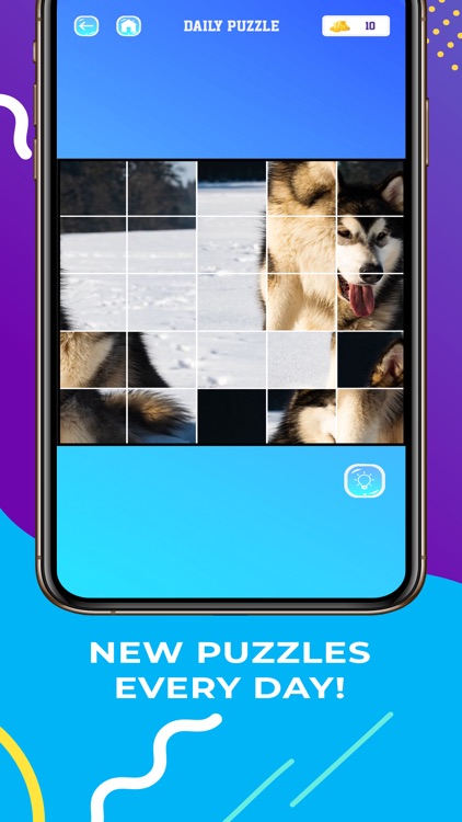 Cute Puppy Dog Puzzles screenshot-3