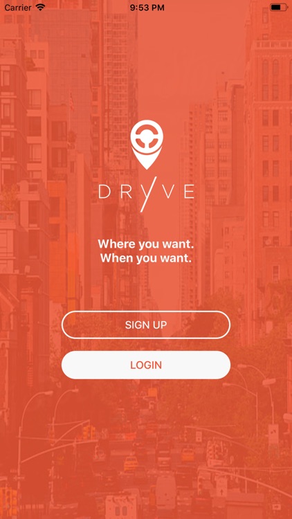 Dryve NYC