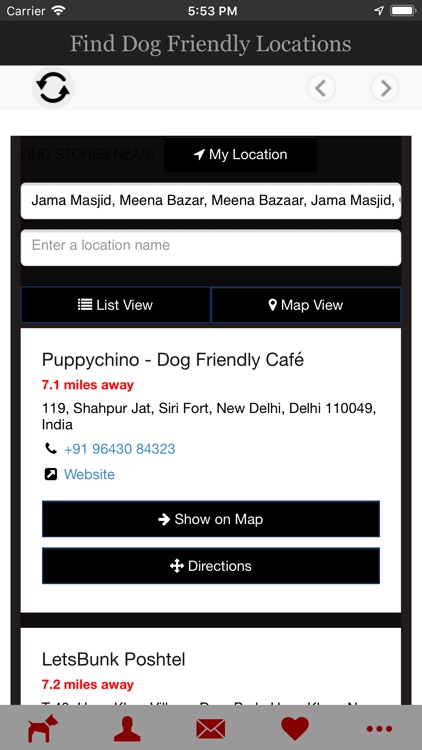 Dog Friendly Location