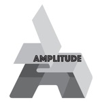 Amplitude Skate Park