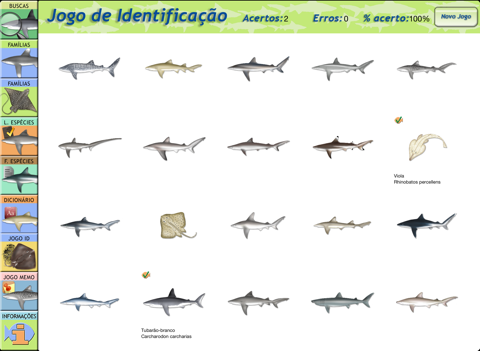 Sharks & Rays screenshot 4