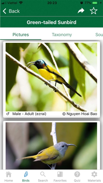 How to cancel & delete Vietnam Bird Guide from iphone & ipad 3