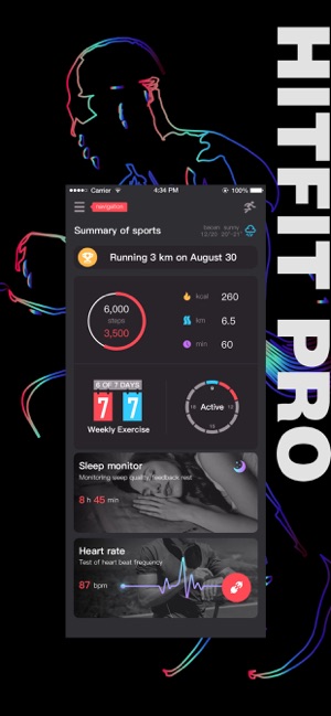 HitFit Pro