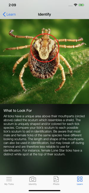 Tick bug guide(圖7)-速報App