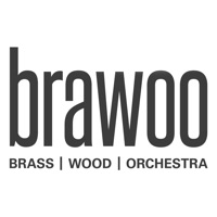  BRAWOO – Brass Wood Orchestra Alternative