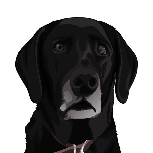 MagMojis
