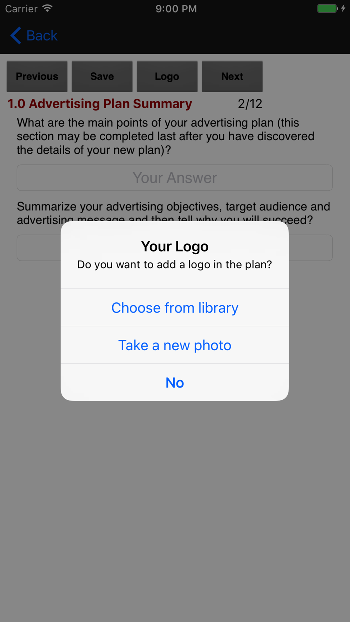 Advertising Plan Strategies