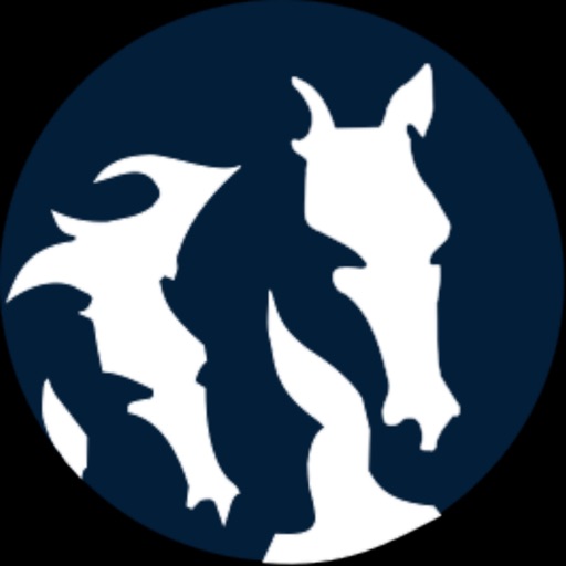 AppFengur