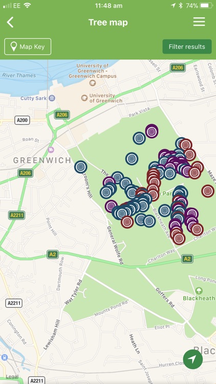 British tree identification screenshot-4