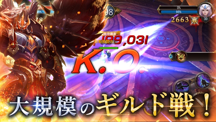 狂暴の翼~本格3DアクションRPG~