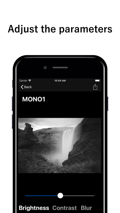 Mono Cam - B&W photo App screenshot 3