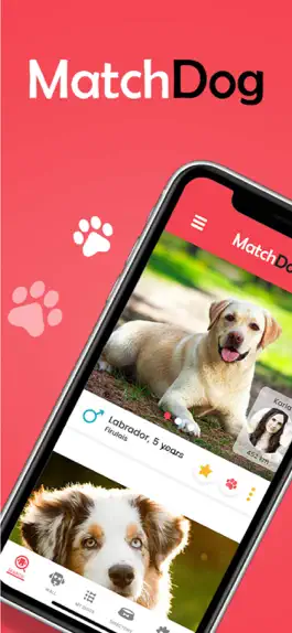 Game screenshot MatchDog - Dog Playdates mod apk