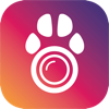 PetCam App - Hundemonitor App apk