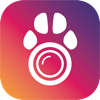 PetCam App - Dog Camera App pour PC