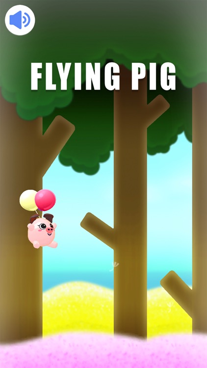 Smile Toy : Flying Pig