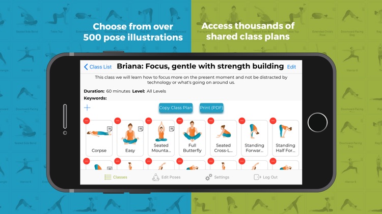 Yoga Class Plan