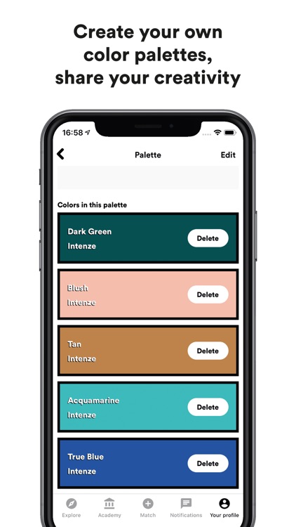 PalettePRO