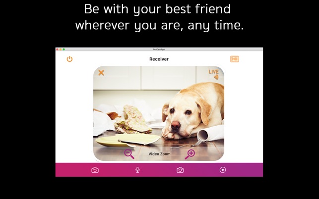 PetCam App - Dog Camera App(圖3)-速報App