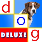 Word Reading Magic Deluxe