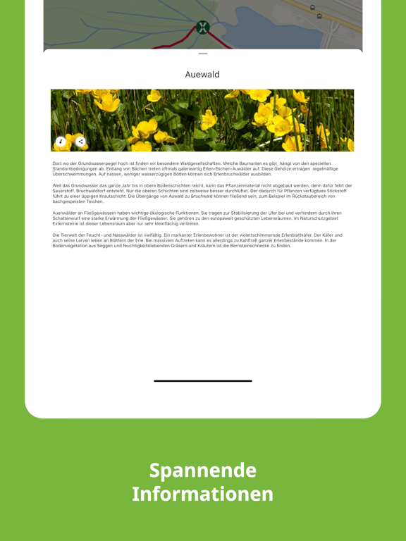 Screenshot #5 pour Externsteine Nature Trails