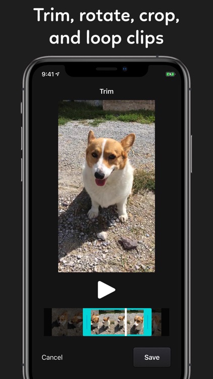 Snapthread – Video Editor screenshot-5