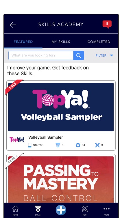 TopYa! Volleyball