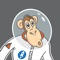 Get a list of space rocket launches from launch sites around the world