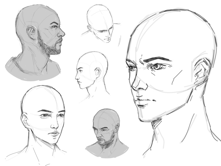 ShadowDraw: Learn How to Draw screenshot-9