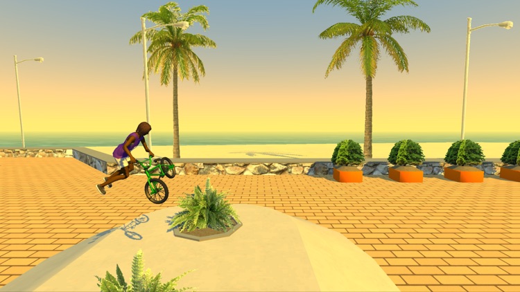 Street Lines: BMX