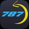 787 Flow Trainer - Josef Santamaria