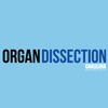 Mammalian Organ Dissection