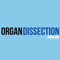 Mammalian Organ Dissection  PC 용