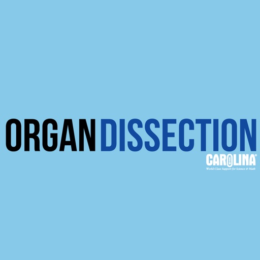 Mammalian Organ Dissection