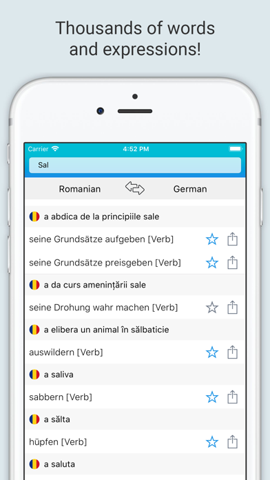 German Romanian Dictionary + screenshot 2