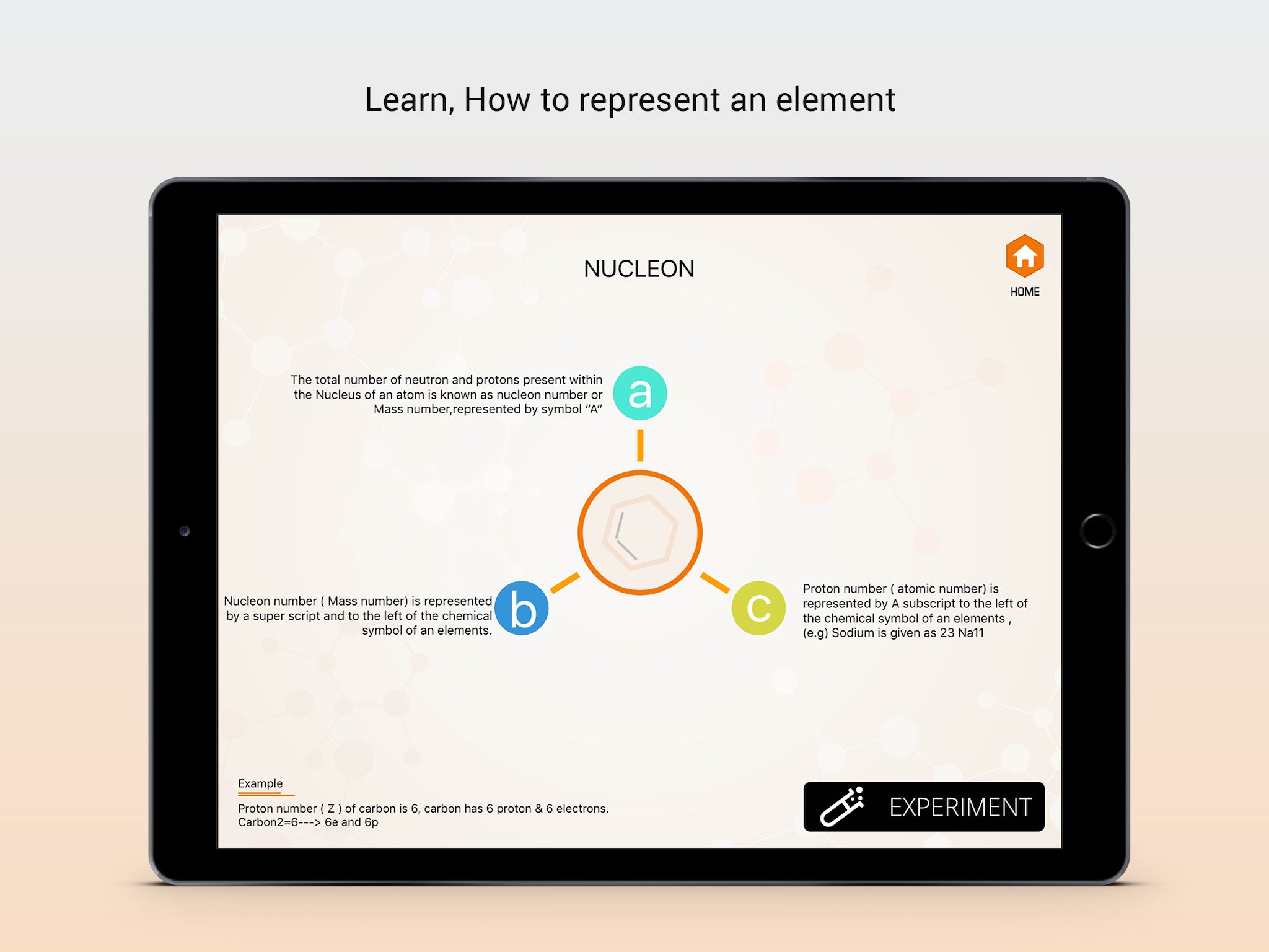 Proton & Nucleon Numbers screenshot 3