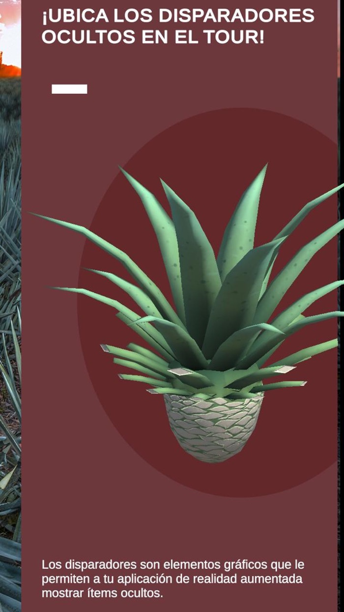 Sauza Tour Experience